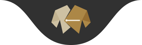 پوشاک چرم لدیر